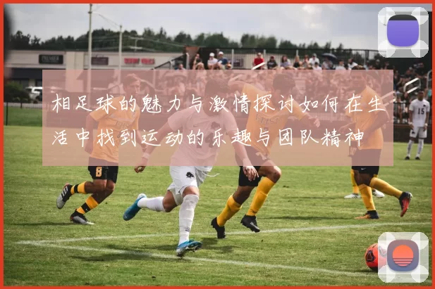 相足球的魅力与激情探讨如何在生活中找到运动的乐趣与团队精神