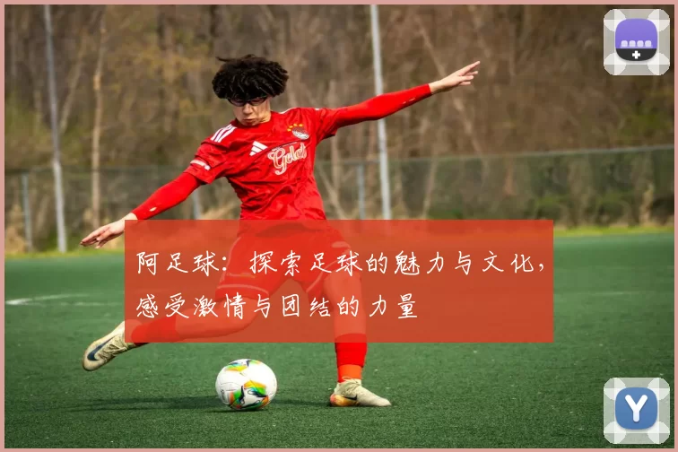 阿足球：探索足球的魅力与文化，感受激情与团结的力量