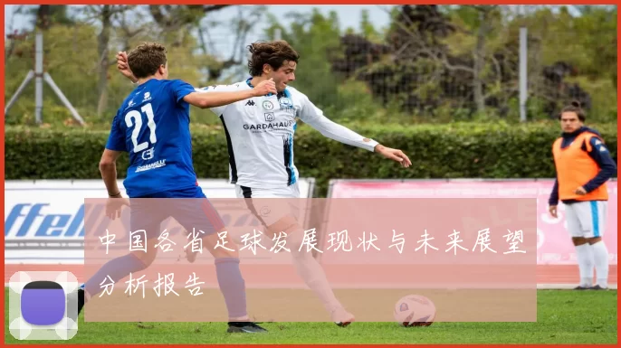 中国各省足球发展现状与未来展望分析报告